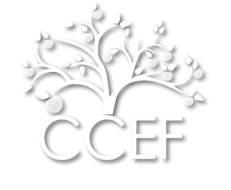Cherokee County Educational Foundation