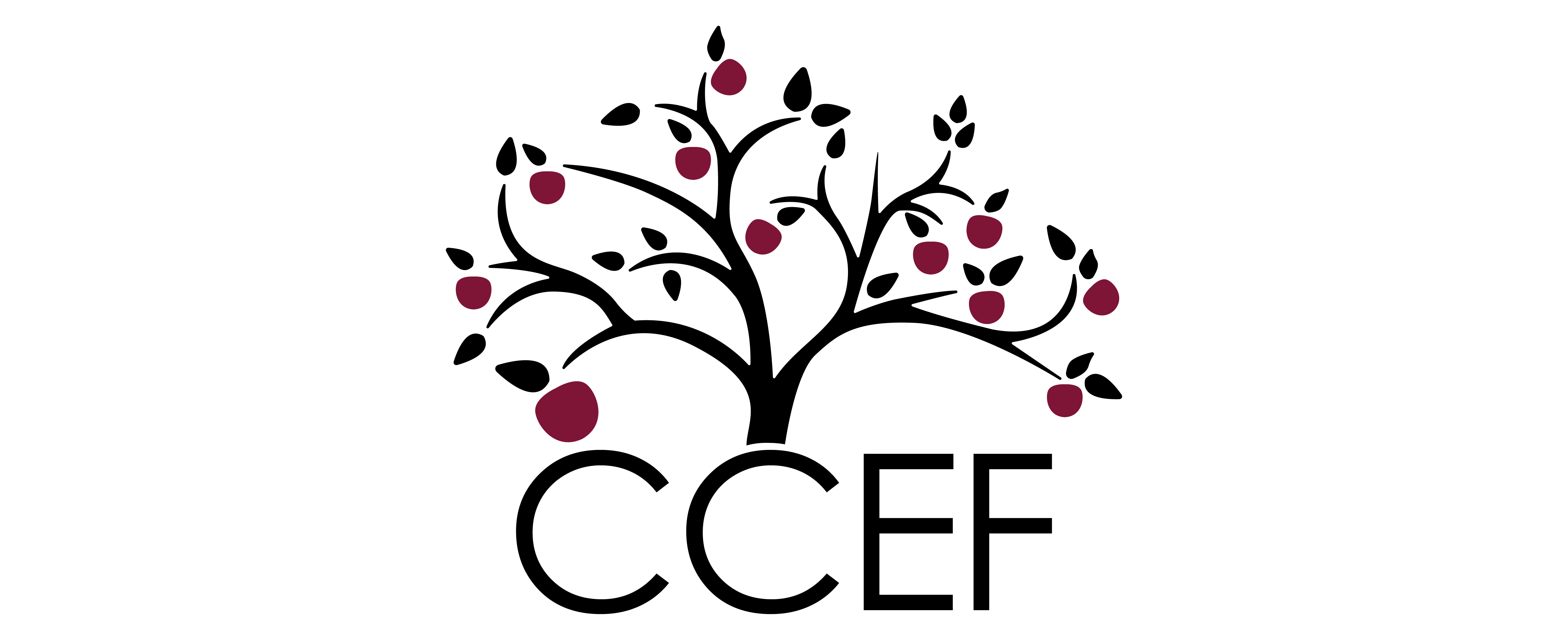 Cherokee County Educational Foundation